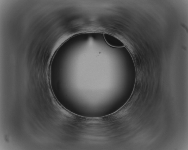 X0000093371486200710191107