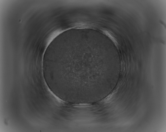 X0000093371487200710191107