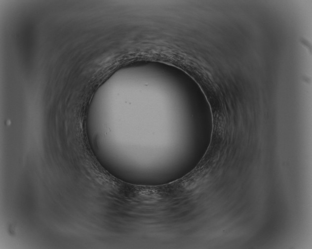 X0000093371489200710191106