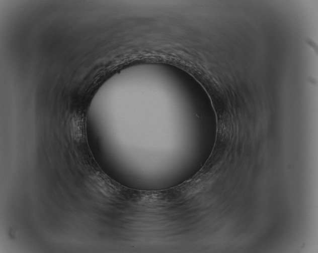 X0000093371490200710191106