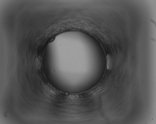 X0000093371491200710191106