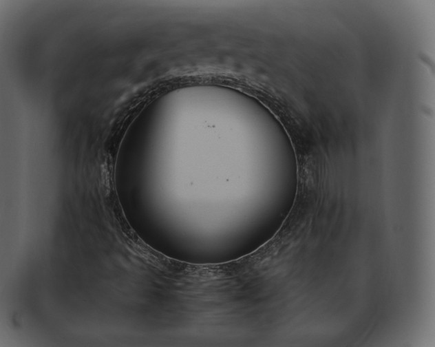 X0000093371493200710191106