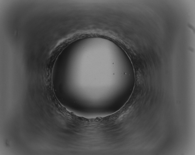 X0000093371494200710191106