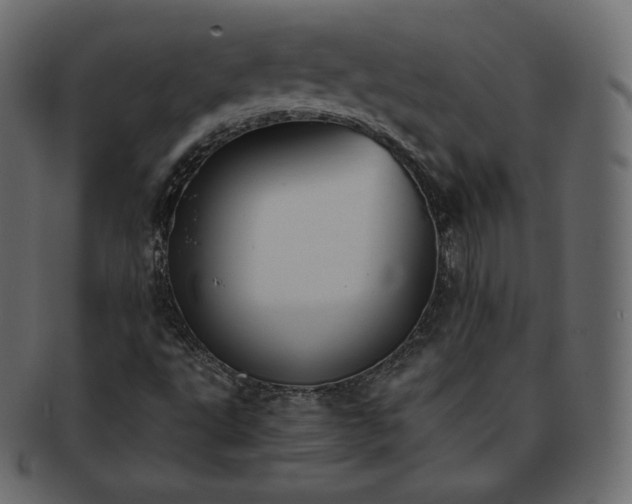 X0000093371495200710191106