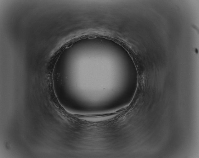 X0000093371496200710191106