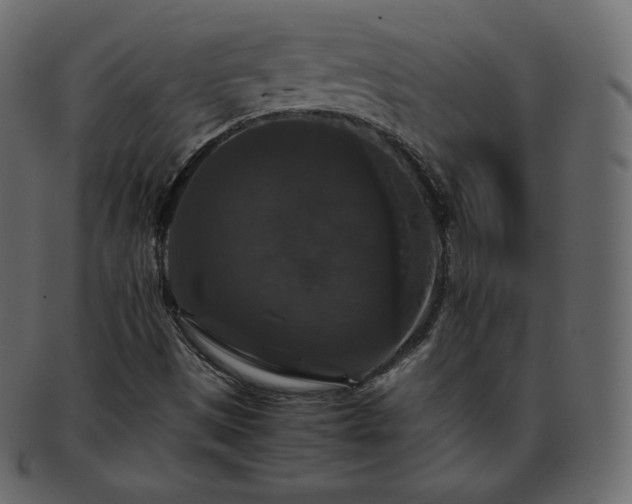 X0000093371497200710191106