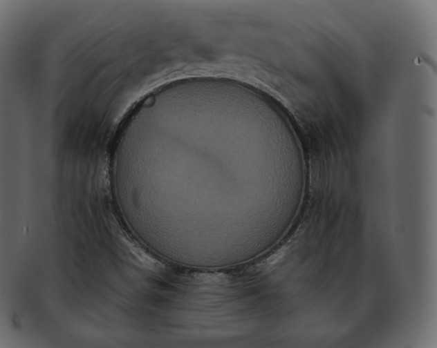 X0000093371498200710191106