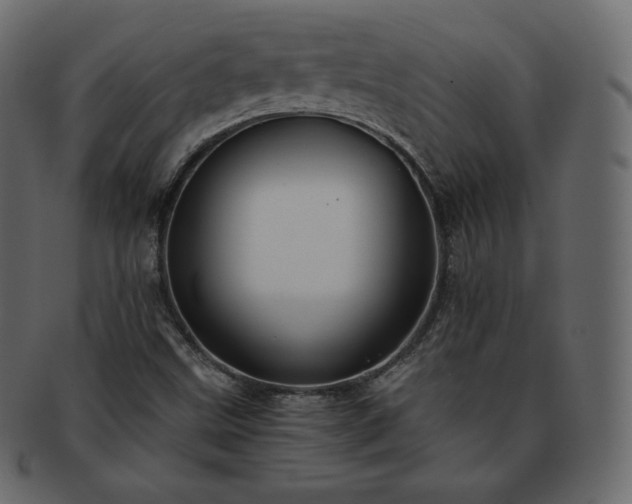 X0000093371499200710191106