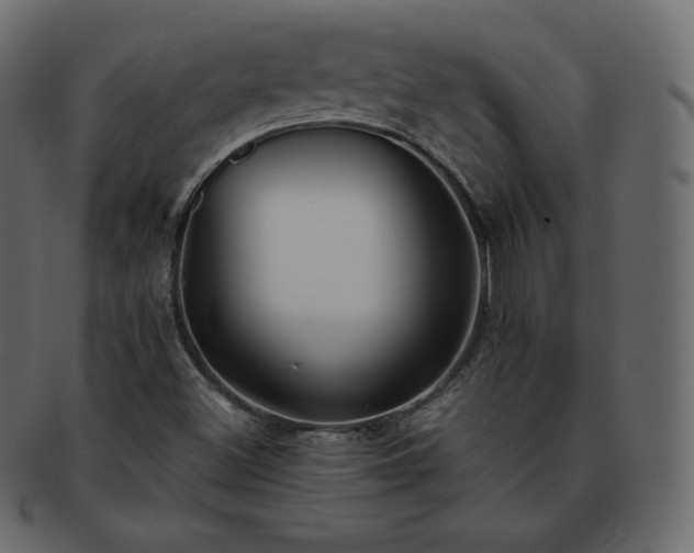 X0000093371500200710191106