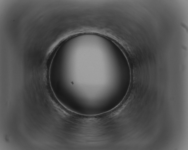 X0000093371502200710191106