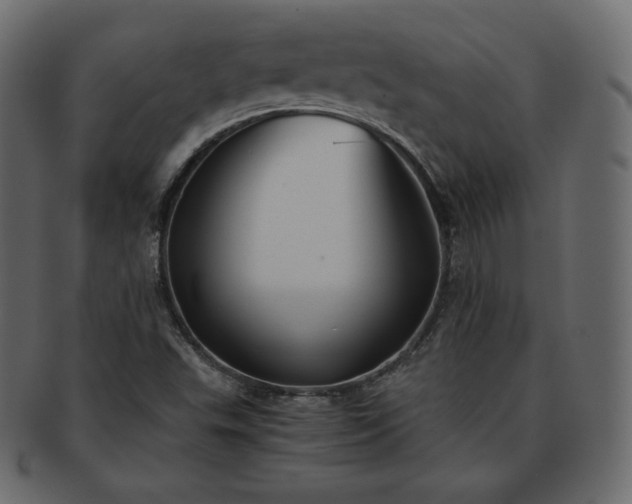 X0000093371503200710191106