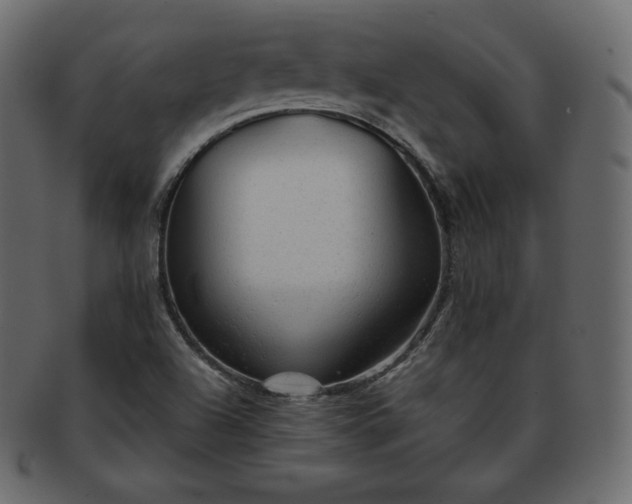 X0000093371504200710191106