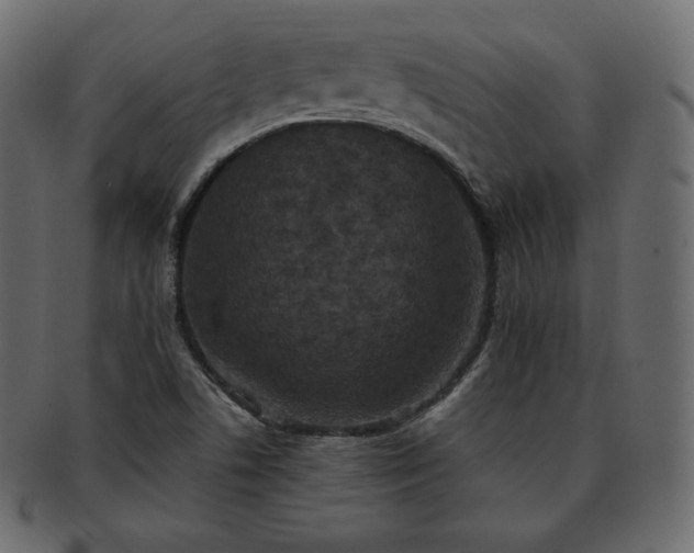 X0000093371506200710191106