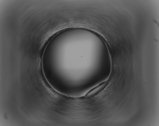 X0000093371507200710191106