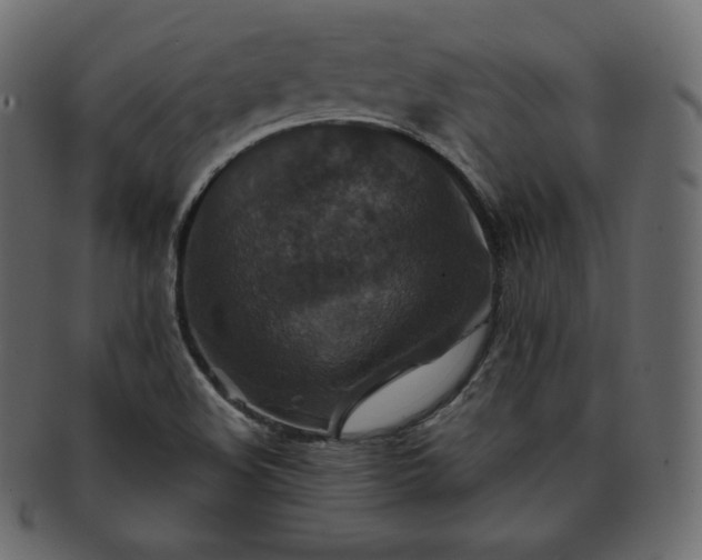 X0000093371508200710191106