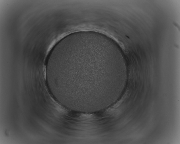 X0000093371509200710191106