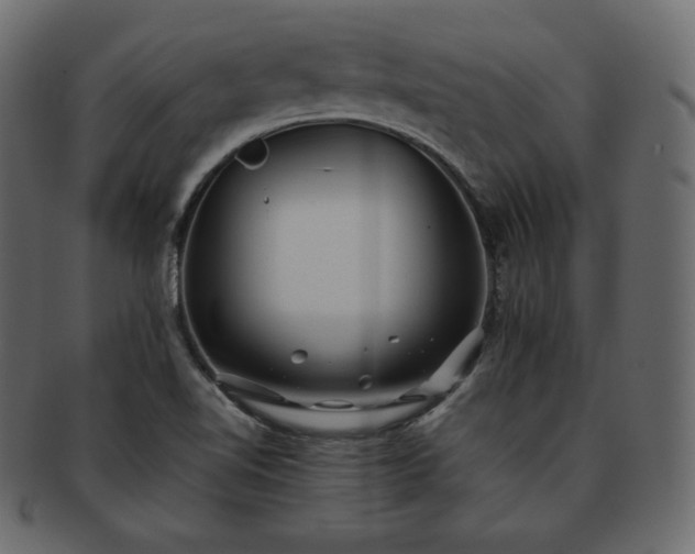 X0000093371510200710191106