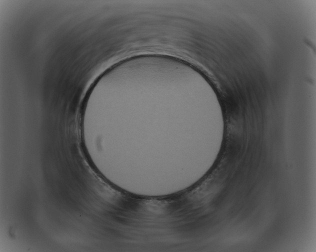 X0000093371514200710191106