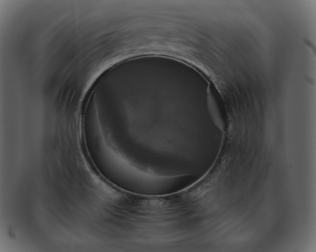 X0000093371515200710191106