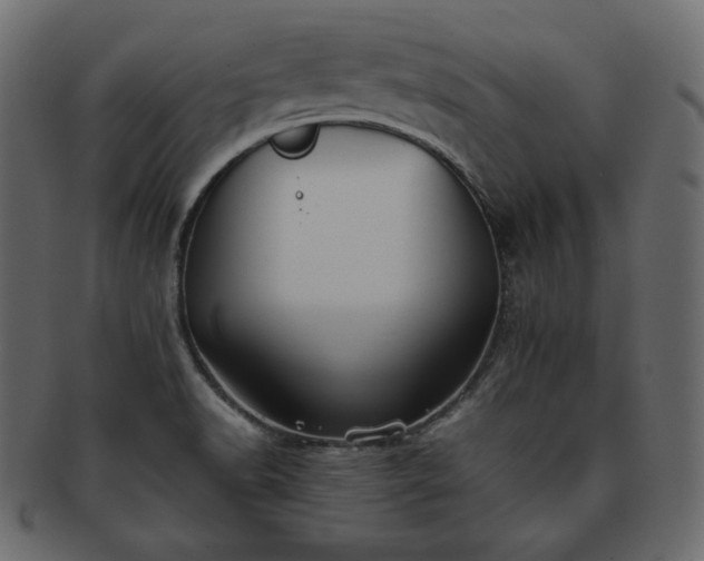 X0000093371518200710191106