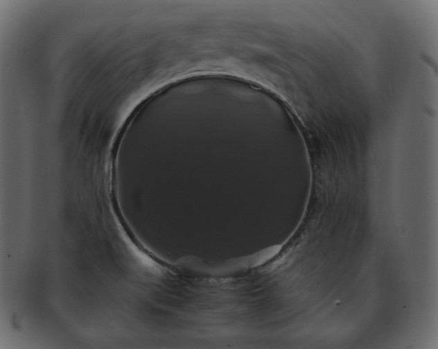 X0000093371519200710191106