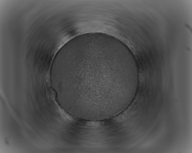 X0000093371521200710191106