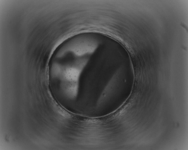 X0000093371522200710191106