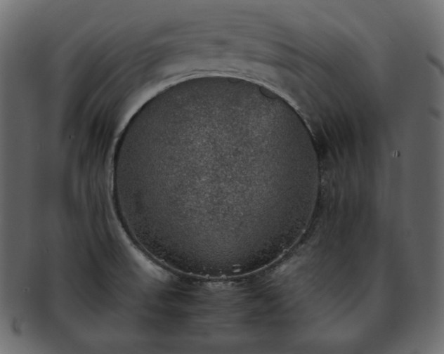 X0000093371523200710191106