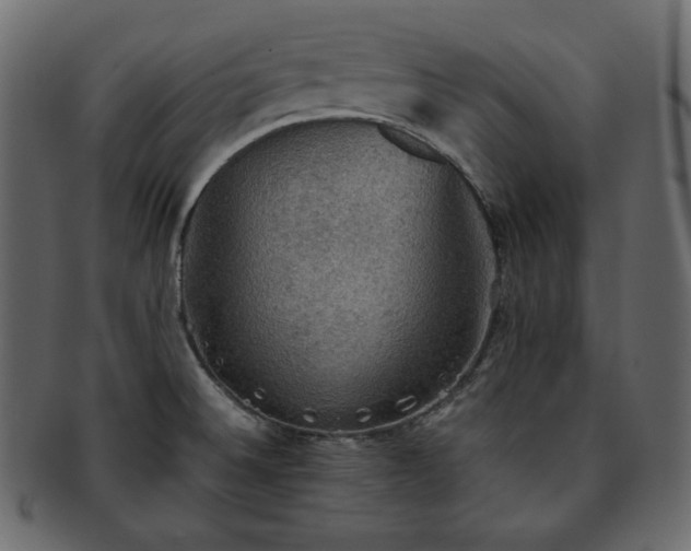 X0000093371524200710191106