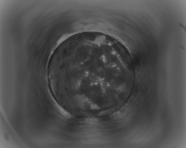 X0000093371525200710191106