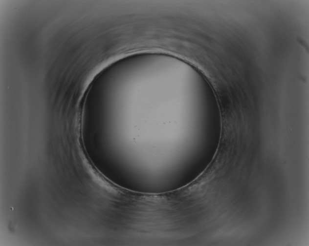 X0000093371526200710191107