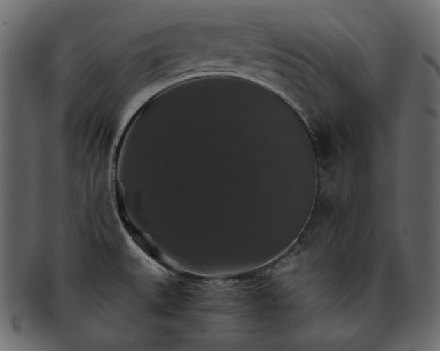 X0000093371527200710191107