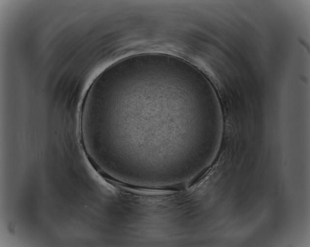 X0000093371528200710191107