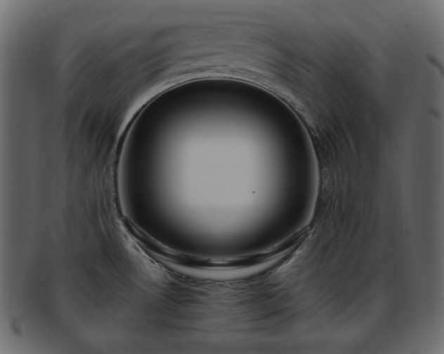 X0000093371530200710191107