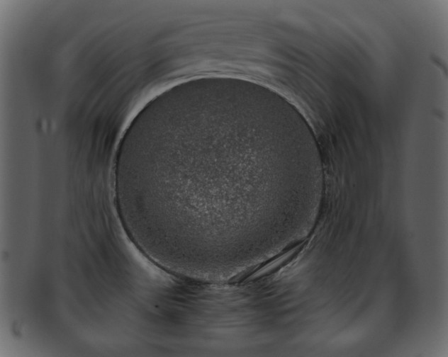 X0000093371531200710191107