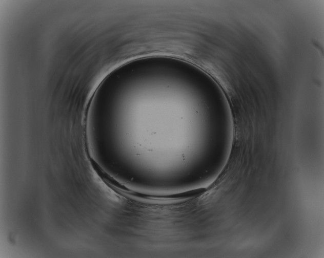 X0000093371532200710191107