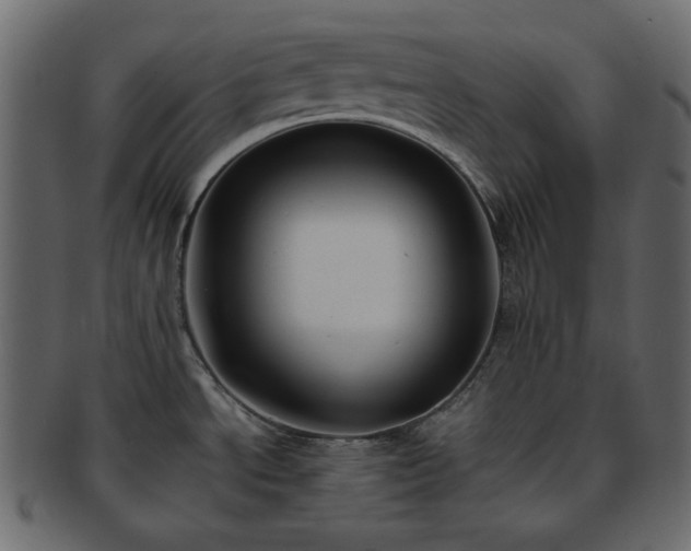 X0000093371534200710191107