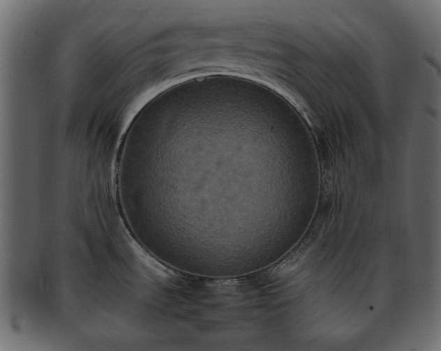 X0000093371535200710191107