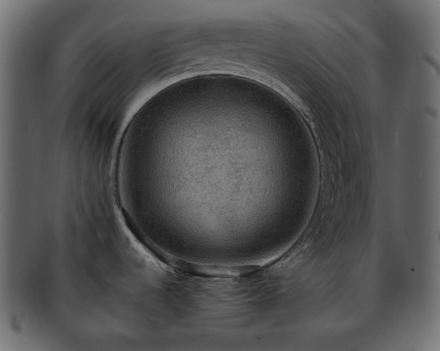 X0000093371536200710191107