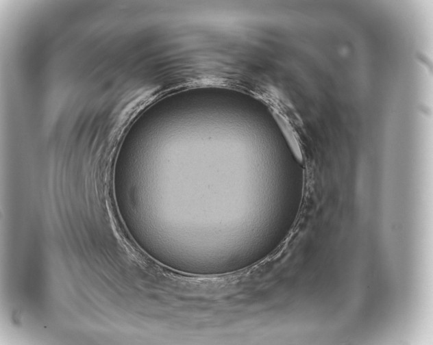 X0000093370001200710251204