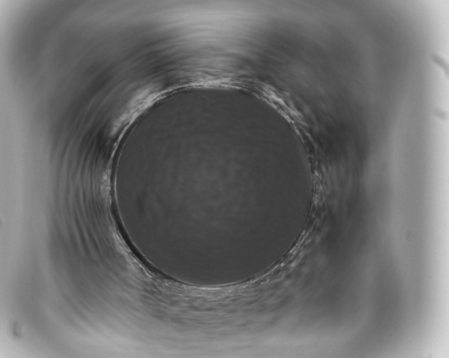 X0000093370002200710251204