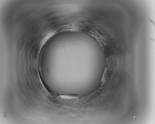 X0000093370003200710251204