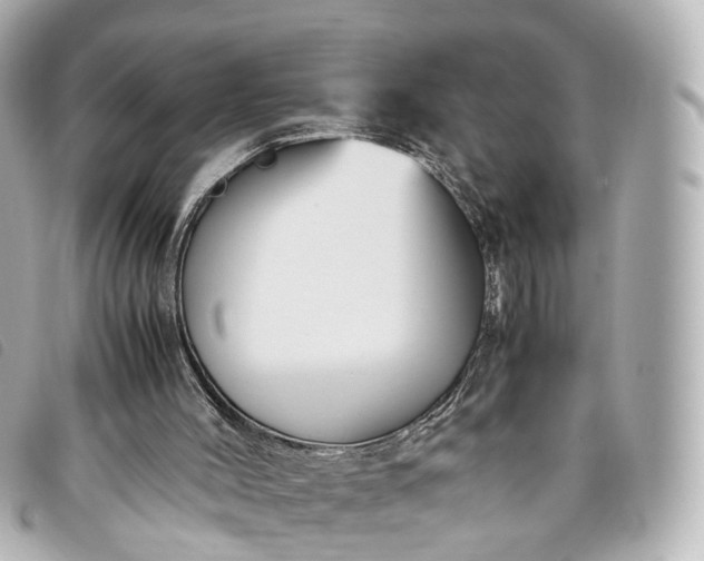 X0000093370004200710251204