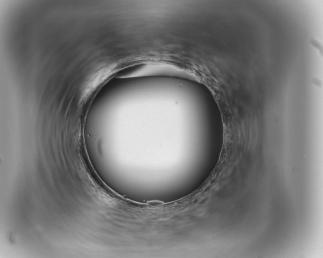 X0000093370005200710251204