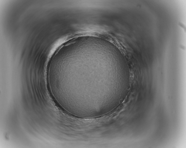 X0000093370006200710251204