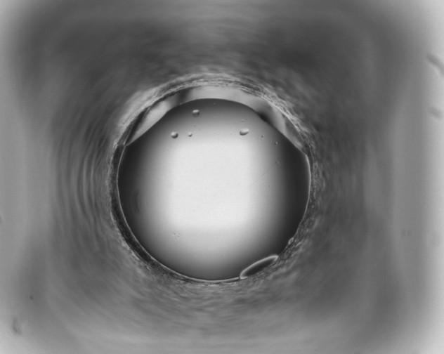 X0000093370007200710251204