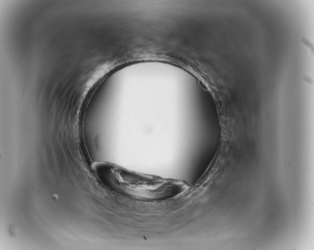 X0000093370008200710251204