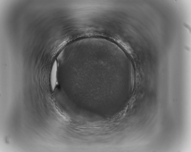 X0000093370009200710251204