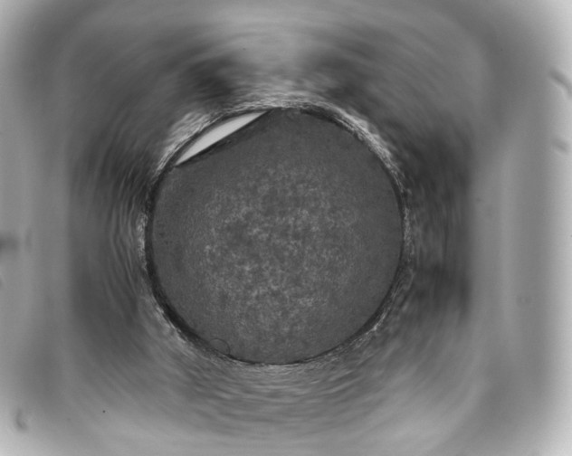 X0000093370010200710251204