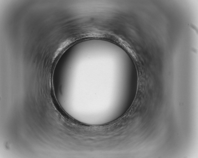 X0000093370011200710251204